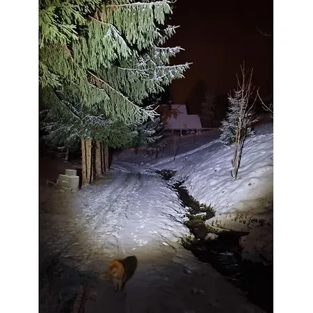 In The Spruce Trees Apartment