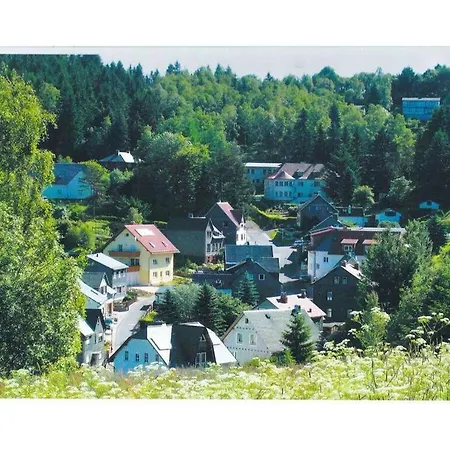 In The Spruce Trees Apartment Stutzerbach