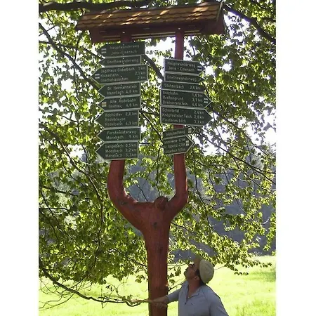 In The Spruce Trees * Stutzerbach