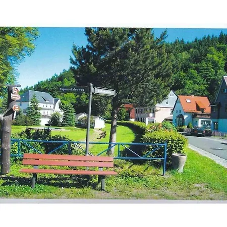 In The Spruce Trees Apartment Stutzerbach